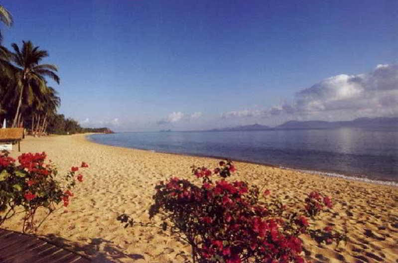 Seafan Beach Resort Ko Samui Exterior foto